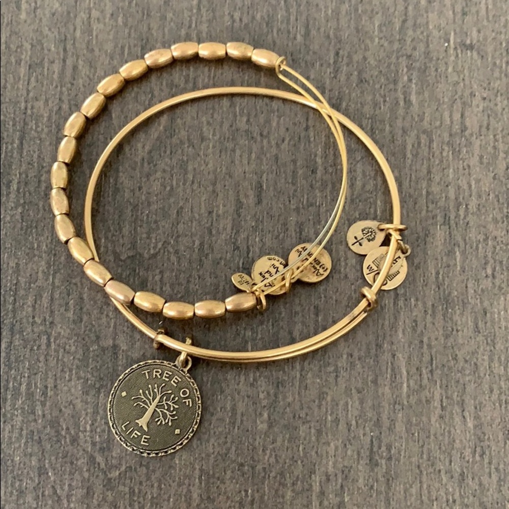 Alex and Ani bracelet 2 pieces